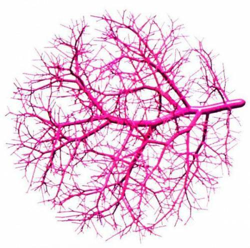 Аскорутин инструкция по применению для чего назначают - Здоровье и долголетие