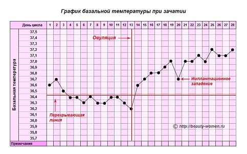 Главные отличия имплантационного кровотечения от месячных