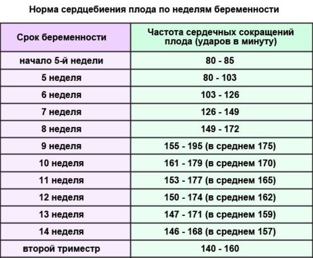 КТГ при беременности: расшифровка и норма, сроки и что показывает по неделям - видео