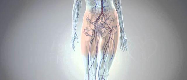 Варикозное расширение вен малого таза – симптомы, лечение и причины