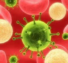 Анализ крови на билирубин - что это такое, как обозначается