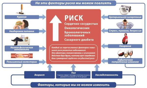 Классификация ИБС по международной классификации заболеваний: диагностика и систематизация, особенности, виды и подвиды заболеваний, факторы риска