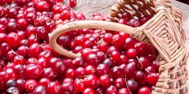 Клюква от гипертонии рецепты - Гипертонии нет