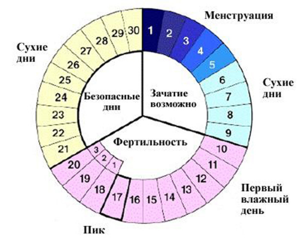 Кровянистые выделения из влагалища в начале или середине цикла - почему возникают и что делать