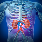 Какой травяной чай от высокого давления