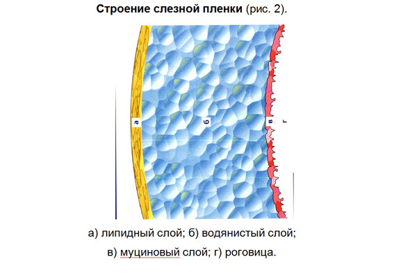 Видисик – инструкция по применению геля глазного, отзывы, цена, аналоги