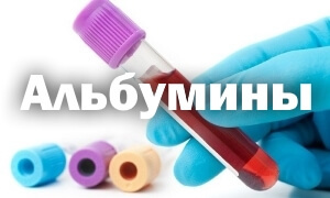 Альбумин в крови понижен: причины и как поднять