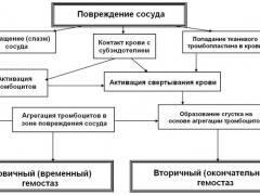 Тромбоцитарно-сосудистый гемостаз