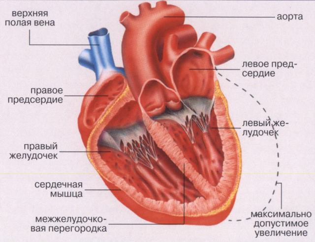 Приобретенный порок сердца