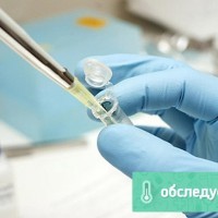 Анализ АСТ с расшифровкой. АСТ биохимия крови - цена в CMD