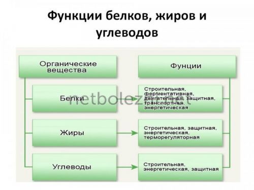 Питание при диабете 2 типа примерное меню и рекомендуемые продукты!