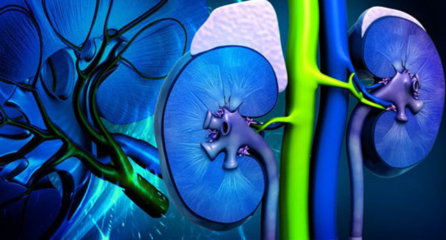 При какой болезни почек повышенное давление