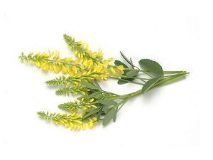 Лучшие продукты и травы для разжижения крови