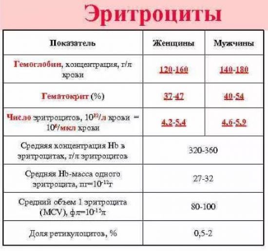Что значат понижены эритроциты в крови взрослого (причины у женщин). Эритроциты понижены, что это значит