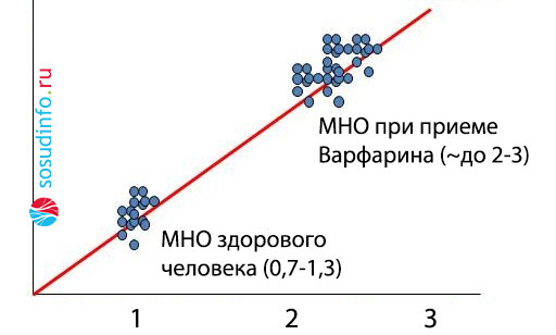 Какая норма МНО крови: анализ, расшифровка показателей, когда уровень МНО повышен и низкий, значение МНО при беременности