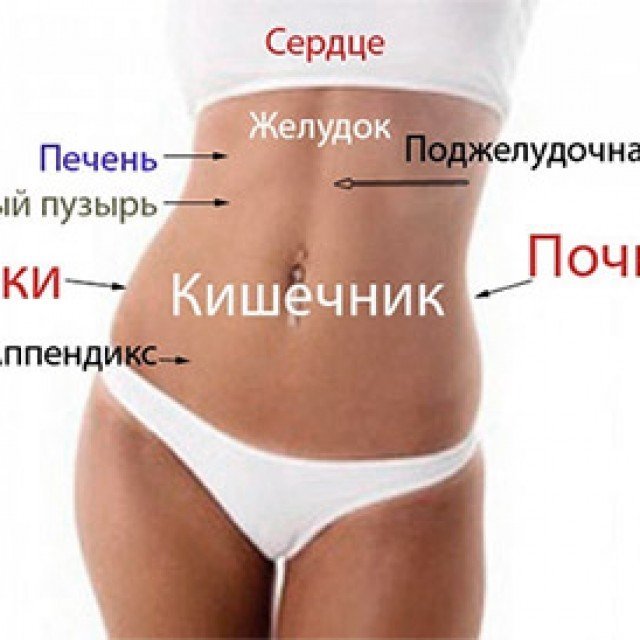 Боль в левом боку внизу живота (ноющая, колющая, острая, резкая) – почему болит низ живота слева у женщины?