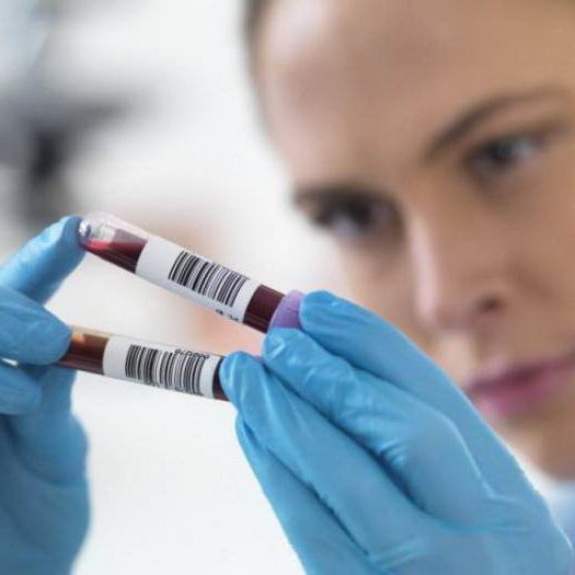 Процесс обновления крови особенности женского и мужского организма. - Энциклопедия Здоровья