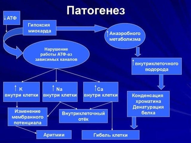 Гипоксия сердца симптомы и лечение
