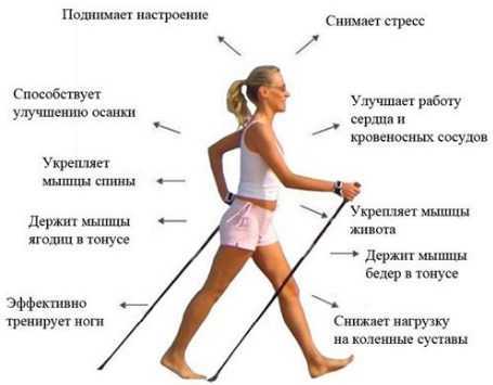 Пульс при ходьбе: норма у мужчин и женщин