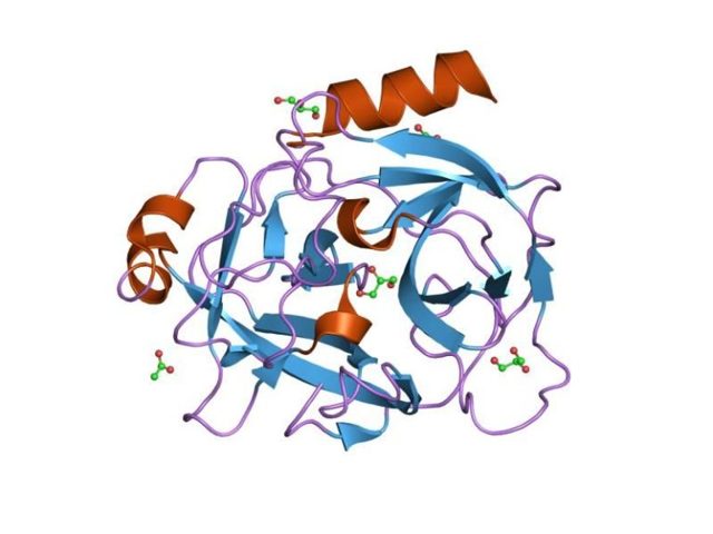 Анализ крови ПСА — что это такое? Расшифровка и норма