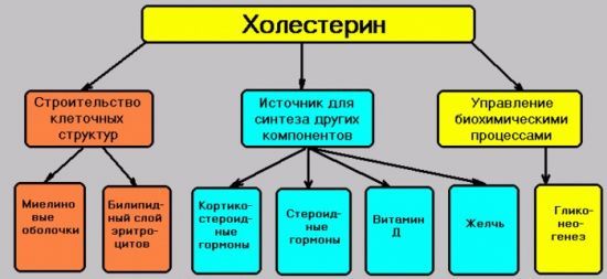 Повышенный холестерин в крови: что это значит