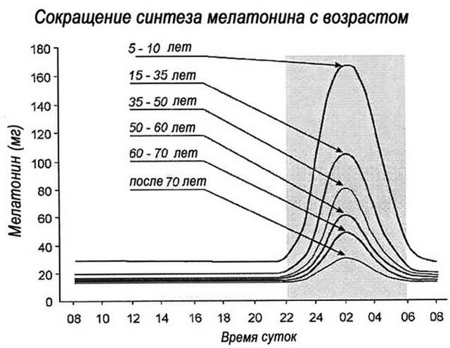 Инструкция по применению Мелаксена