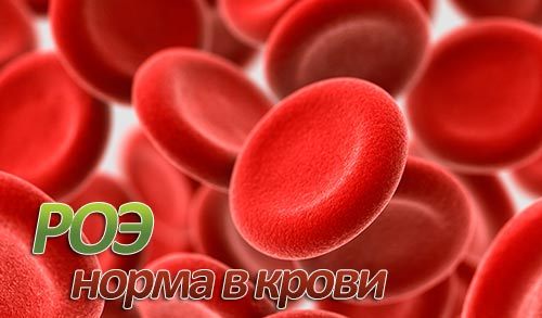Норма и повышенный уровень роэ в крови у женщин
