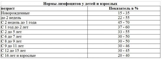 Норма лимфоцитов в крови у женщин и причины отклонения показателя