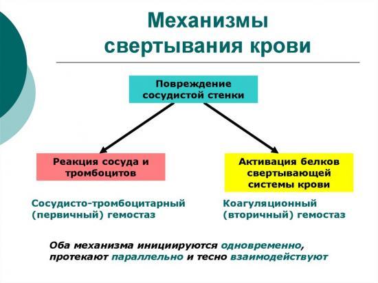 Тромбоцитарно-сосудистый гемостаз