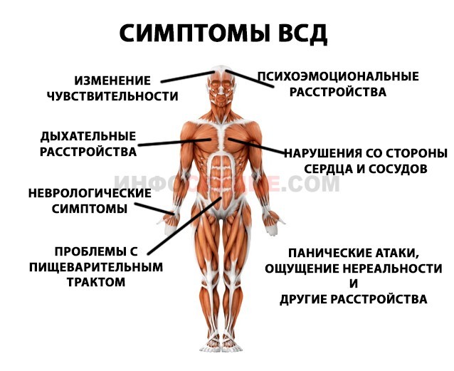 После еды учащается сердцебиение причины — Сердце