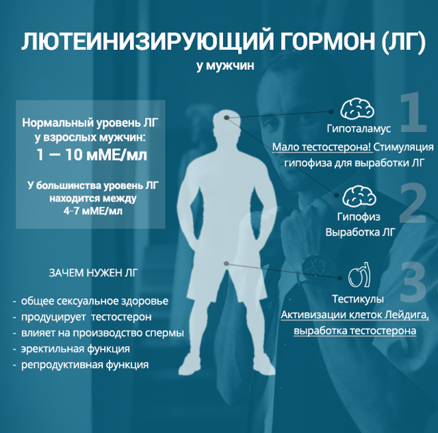 Фсг у мужчин повышен или понижен уровень , какая норма fsg