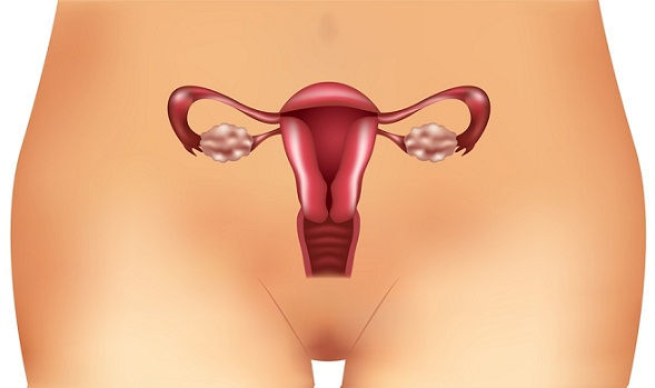 Гормон ФСГ в крови - Повышенный гормон ФСГ у женщин в лаборатории Lab4U