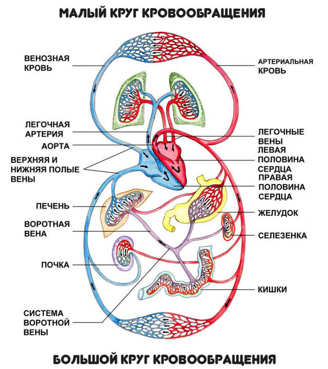 Чем опасно низкое давление