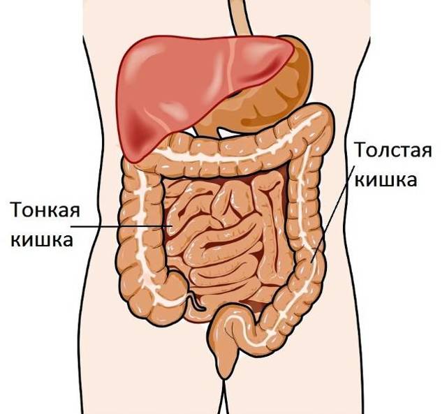 Свечи при колите: эффективные суппозитории для лечения воспаления толстого кишечника