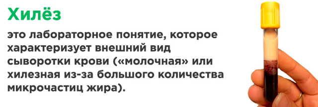 Хилез крови у взрослых и детей: что это, причины и лечение