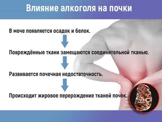 Сердце алкоголика и влияние алкоголя на него