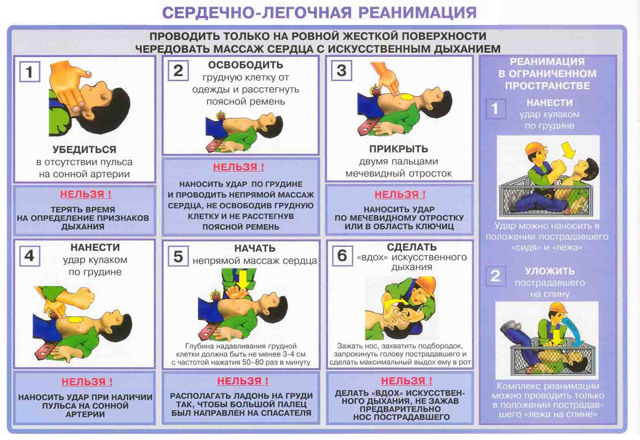Искусственный массаж сердца и искусственное дыхание: техника проведения, правила и последовательность
