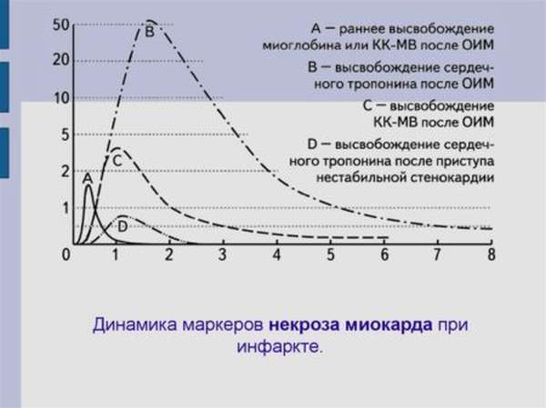 Биохимические маркеры инфаркта миокарда