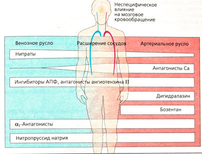 Сосудорасширяющие препараты для головного мозга