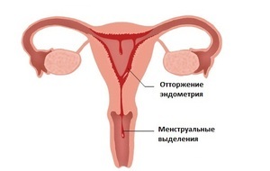 Красавки экстракт: показание и инструкция по применению, цена, аналоги, отзывы