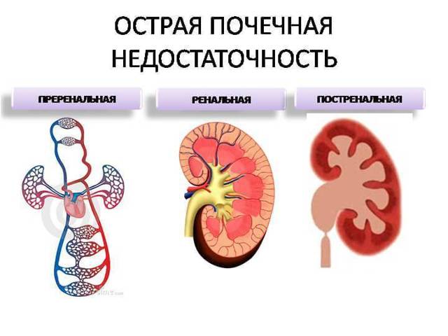 Супрастин - 99 отзывов, цена от 30 руб., инструкция по применению