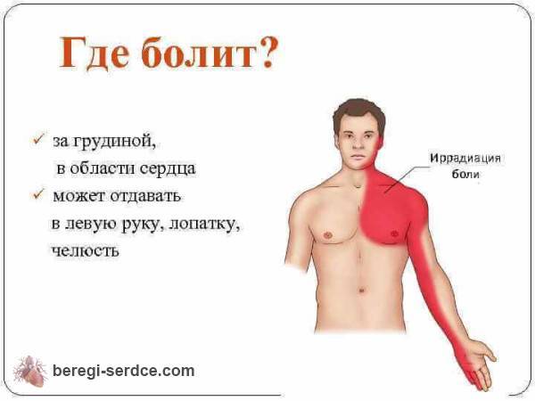 Сердце давит что делать в домашних условиях — Сердце