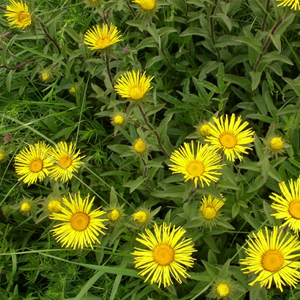 Как снизить гемоглобин в крови