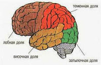 Внутренняя сонная артерия