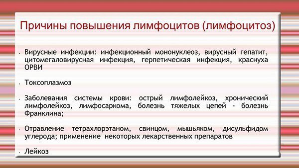 Лимфоциты в крови повышены: основные причины у женщин