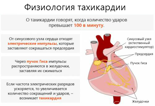 Какие лекарства пить при тахикардии