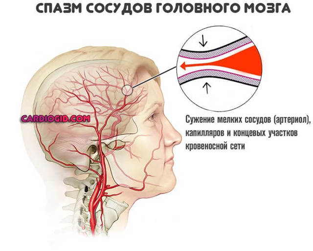 Как укрепить сердечную мышцу и забыть о проблемах с сердцем?