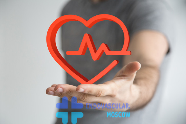 Коронарное кровообращение. Левая коронарная артерия