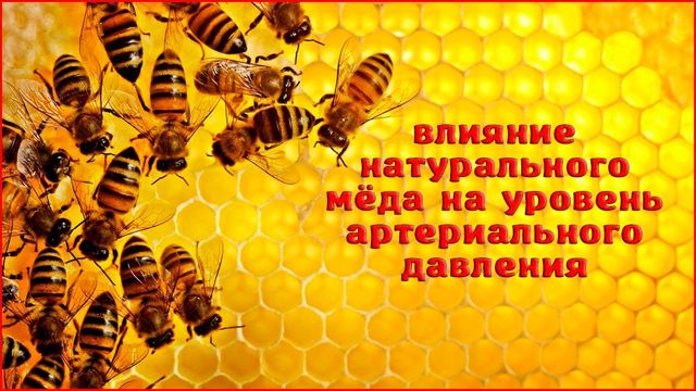 Мед повышает или понижает давление?
