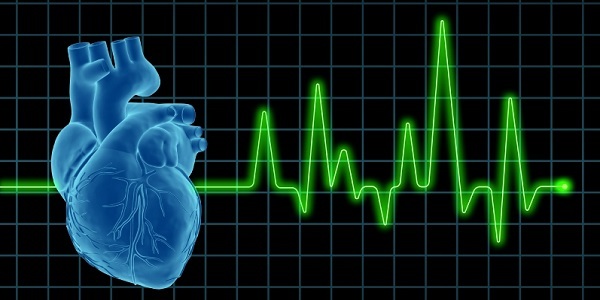 Лечение экстрасистолии в домашних условиях народными средствами - как вылечить